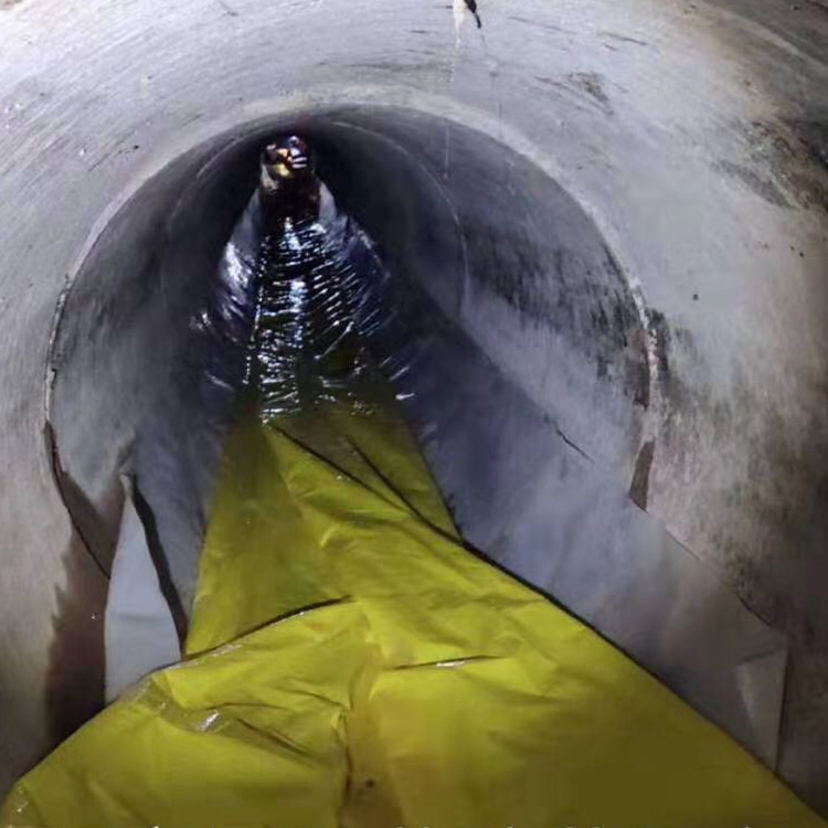 新蔡管道光固化修复